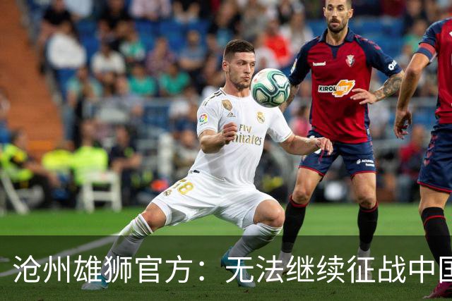 沧州雄狮官方：无法继续征战中国足球职业联赛